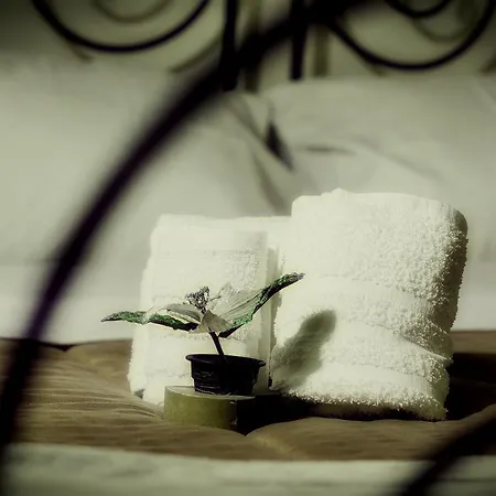 A' Casa E' Maria Bed & Breakfast Napels
